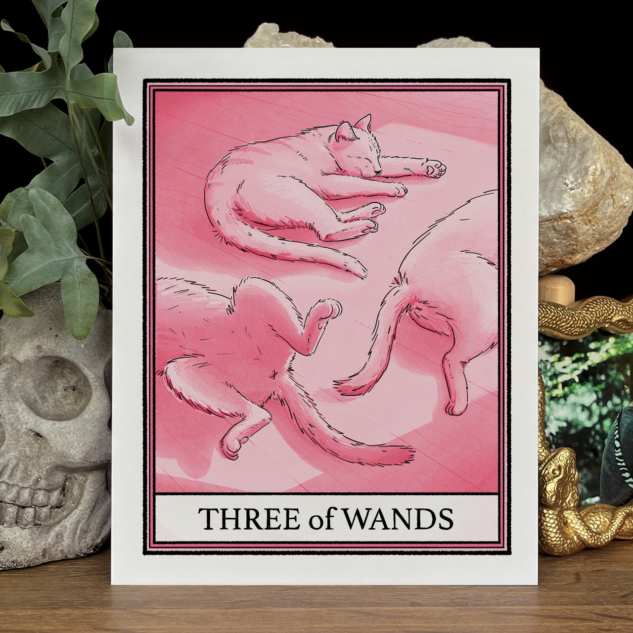 Pink cat tarot Three of Wands print