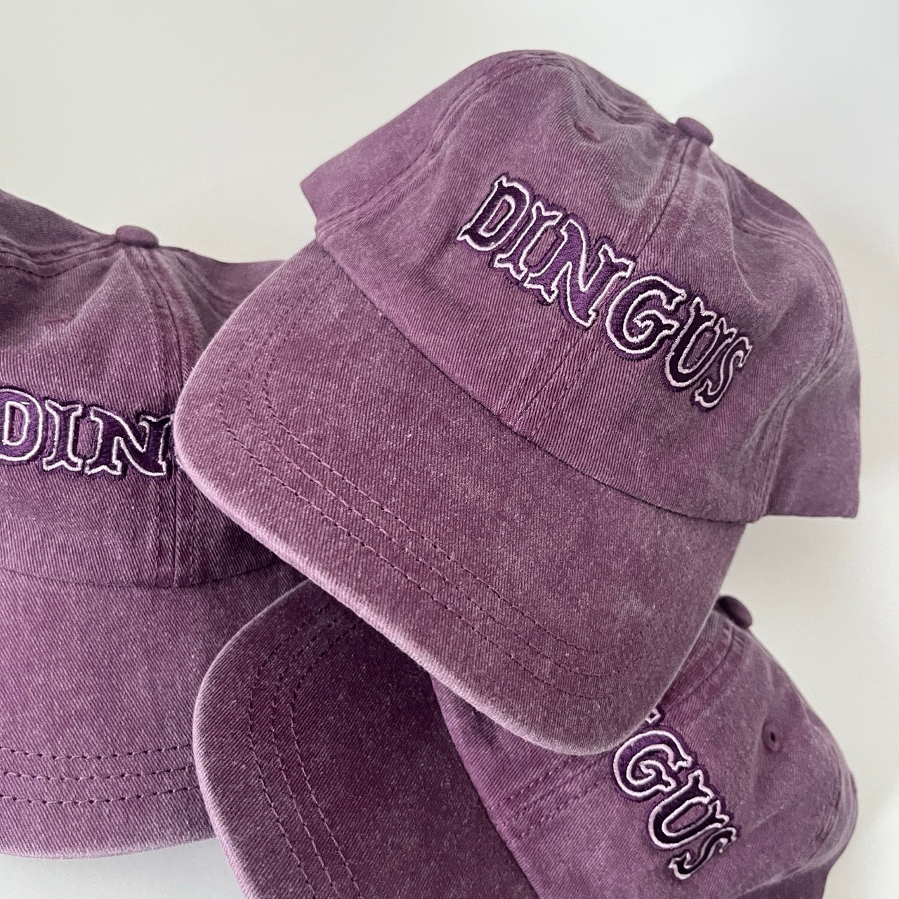 Dingus Embroidered Dad Hat