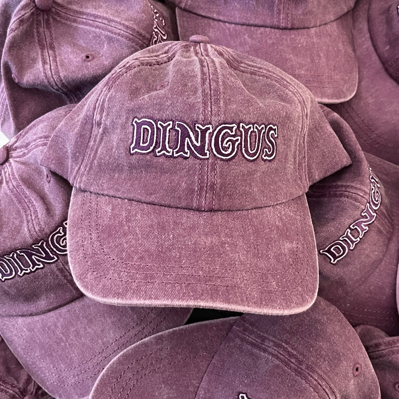 Dingus Embroidered Dad Hat