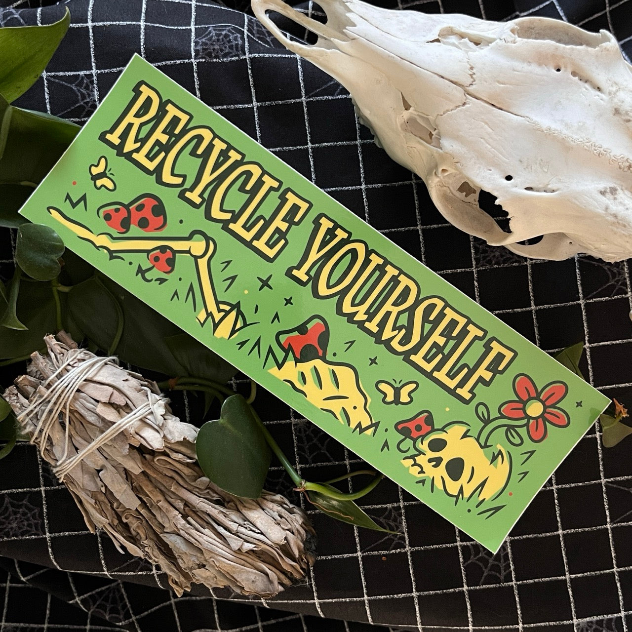 Bumper sticker with skeleton says Recycle Yourself