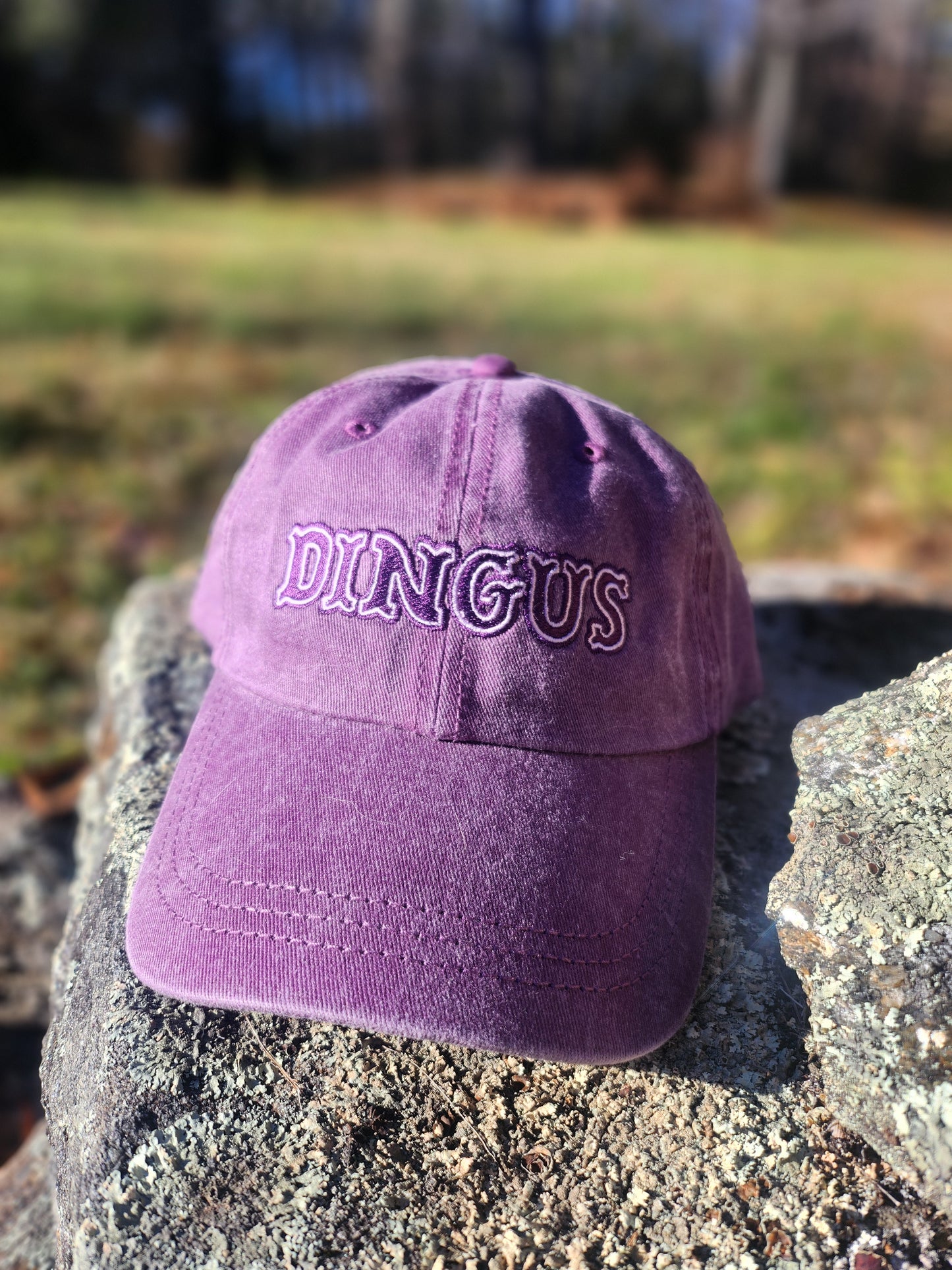 Dingus Embroidered Dad Hat