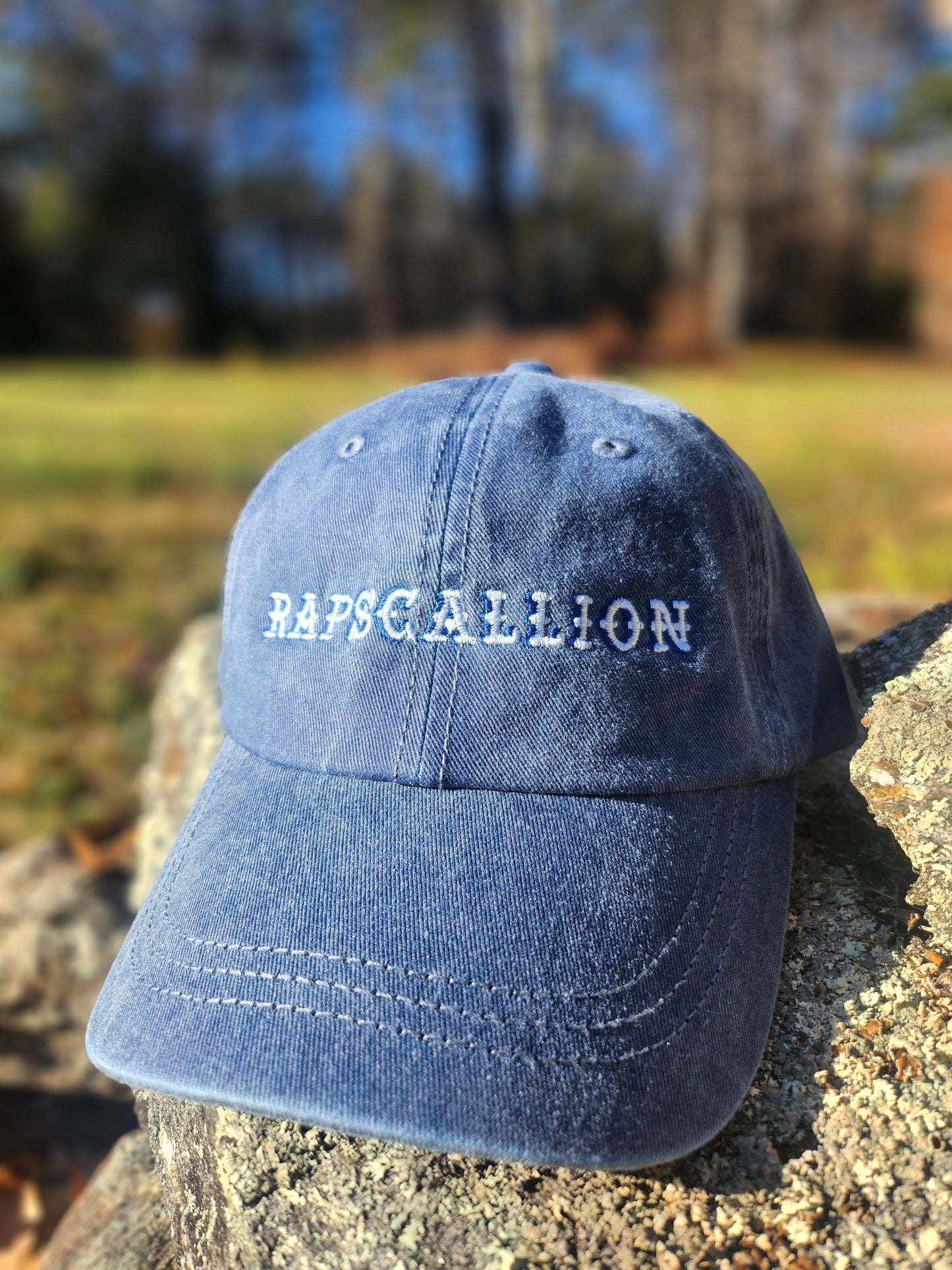 Rapscallion Embroidered Dad Hat