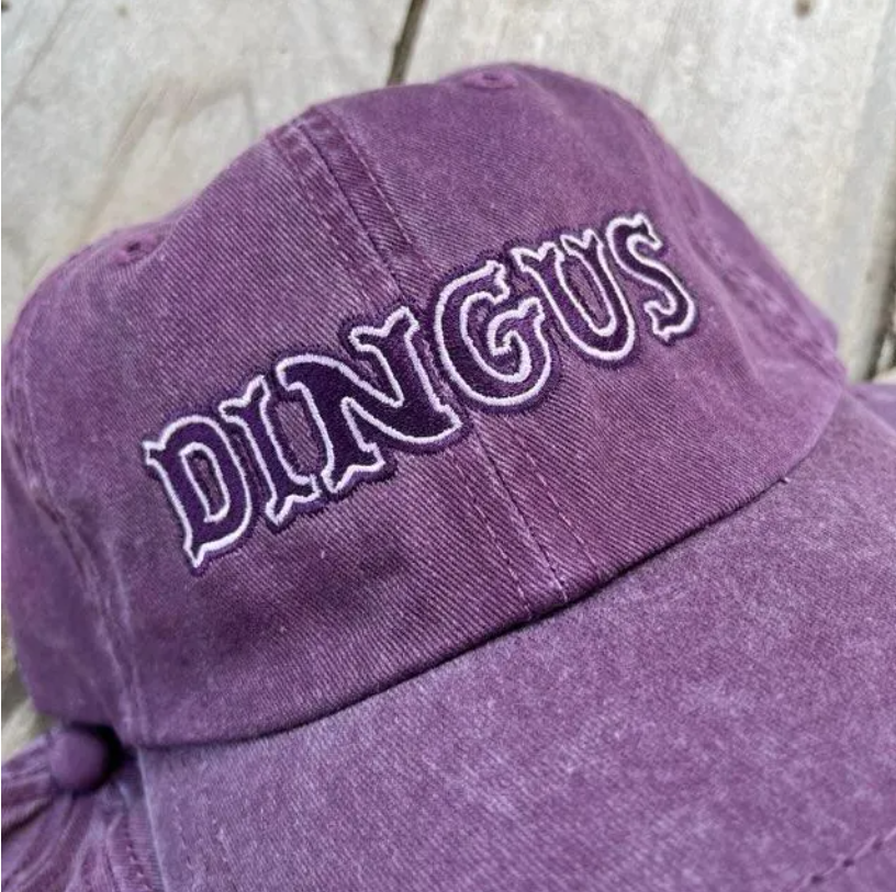 Dingus Embroidered Dad Hat